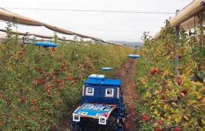 tevel robotics autonomous drones pick fruit intelligently  national robotics education