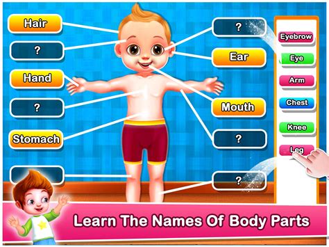 body parts diagram kids outline   human body  kids teaching english kids english