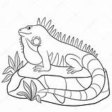 Iguana Coloring Pages Sits Cute Stock Illustration Vector Rock Template Girls sketch template