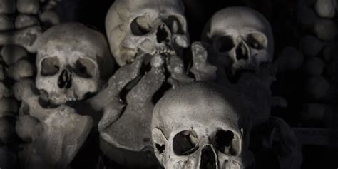 9 weird and creepy museums that will give you the chills huffpost