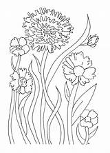 Coloring Flowers Simple Pages sketch template