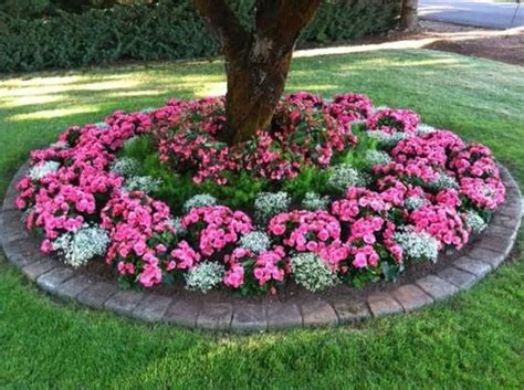 adorable flower beds ideas  trees  beautify  yard