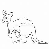 Kangaroo Wallaby Pesquisa sketch template