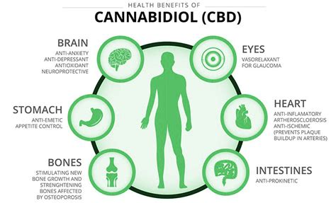 steps to great health the importance of cbd how it will enrich a