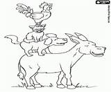 Bremen Musicians Town Coloring Pages Kids Printable Miscellaneous Stories Short Oncoloring sketch template