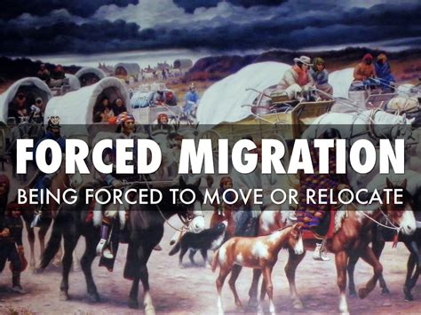 migration  quynhdinh