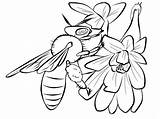 Lebah Mewarnai Printable Bees Abeille Sketsa Buku Lukisan Coloriages Colouring Drawing H2o Windusari Bt5 Drawings Colorier Library sketch template
