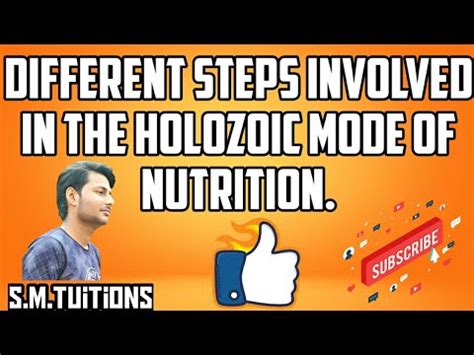 steps involved   holozoic mode  nutrition life processes class