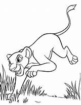 Coloring Kids Pages Lion Lions Tigers Disimpan Dari sketch template