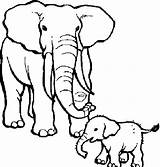 Elephant Coloring Pages Circus Drawings Printable Big Animal Clipart Elephants Zoo Colouring Baby Two Indian Small Color Kids Chucky Kid sketch template