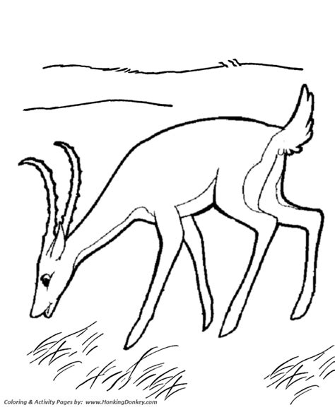 gazelle coloring pages fast gazelle coloring page  kids activity