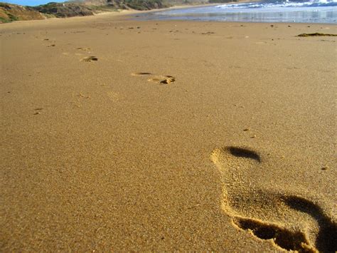 footprints   sand stock photo freeimagescom