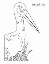 Coloring Pages Stork Storks Movie Animals Education Kids Getcolorings Printable Features Formats 1099 Available sketch template