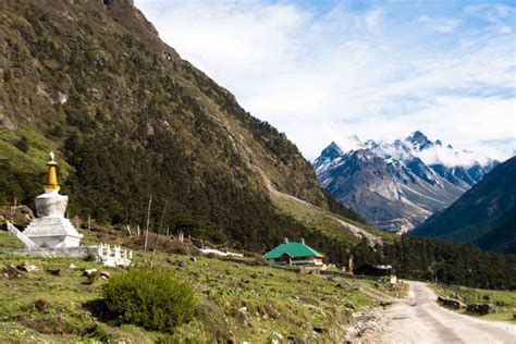 yumthang valley sikkim times  india travel
