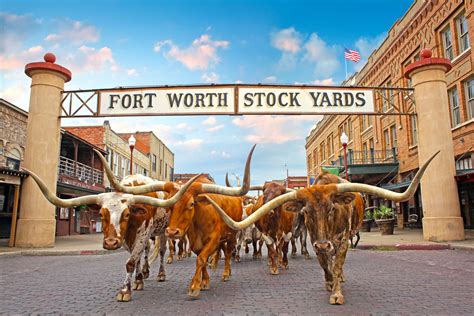 mule alley   fort worth stockyards offers wrangler nfr