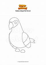 Adopt Roblox Parrot Coloring Colorare Ausmalbild Monkey Disegni Supercolored Ninja Immagine sketch template