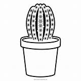 Cactus Kaktus Colorare Cacto Fichi Ausmalbilder Vaso Disegno Nopal Pintar Dindia Maceta Cactaceae Ultracoloringpages sketch template