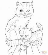 Coloring Cat Pages Kitten Mother Printable Drawing Through sketch template