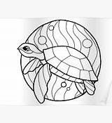 Honu Drawing Getdrawings sketch template