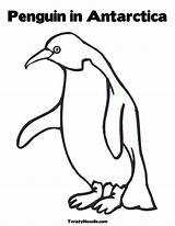 Antarctica Antartica Pinguin Ausmalbilder Adelie Emperor Penguins Twistynoodle Noodle Kidsuki Twisty sketch template