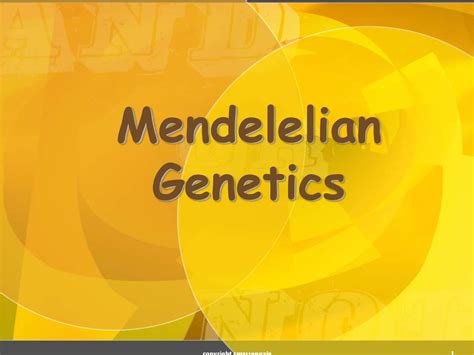 Mendelelian Genetics презентация онлайн