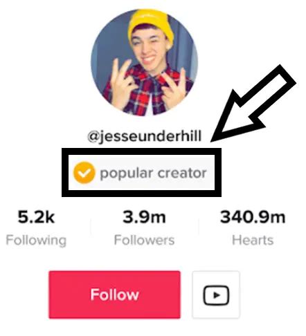 verified  tiktok   fast simple statusbrew