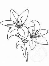 Lilies Eastertemplate sketch template