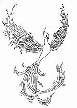 Coloring Phoenix Pages Tattoo Template sketch template
