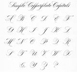 Copperplate Script Capitals Fonts Lindsey Letters Cursive Handwriting Scribe Alfabeto Calligrafia Penmanship Stilografica Anglaise Penna Caligrafia Scribebynight Corsivo sketch template