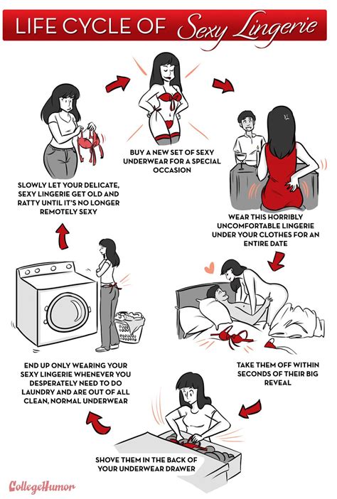 The Life Cycle Of Sexy Lingerie College Humour Life