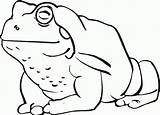Toad Coloring Pages Kids Frog Cartoon Printable Toads Color Clipart Cliparts Outline American Library Coloringpages101 Categories sketch template