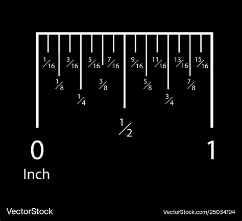 rulers inches measuring scale indicator vector image