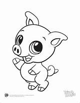 Coloring Pages Baby Animals Animal Cute Pig Color Print Printable Colouring Leapfrog Small Guinea Drawings Beluga Adults Clipart Adorable Drawing sketch template
