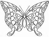 Butterfly sketch template