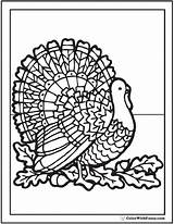 Thanksgiving Coloring Pages Adults Turkey Printable Pdf Fuzzy Acorns Print Color Leaves Cute Turkeys Rainbow Colorwithfuzzy Getcolorings Fun sketch template