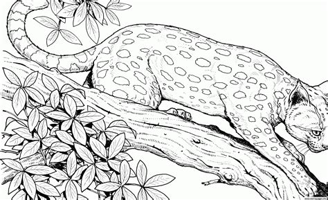 hard coloring pages  animals