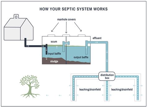septic system basics natures call septic service minnesota