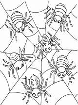 Spider Coloring Halloween Pages Printable Print Cute Kids Color Getcolorings Getdrawings Spiders Animal Colorings Col sketch template