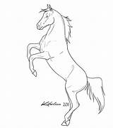 Horse Rearing Coloring Pages Drawings Lineart Sketch Outline Deviantart Pencil Drawing Arabian Animals Horses Color Stallion Mustang Printable Print Step sketch template