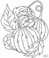 Watermelon Supercoloring Watermelons Crafts sketch template