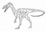 Compsognathus sketch template