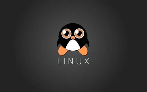 linux tux penguin wallpapers hd desktop  mobile backgrounds