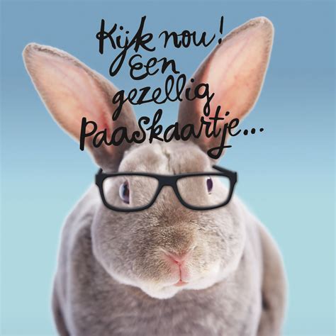 grappige paaskaart konijn met bril hallmark paaskaart grappig wenskaart