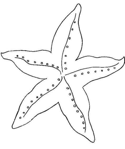 starfish coloring  starfish coloring