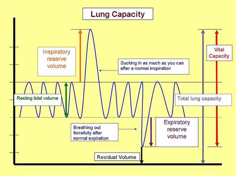 vital capacity   difference  forced vital capacity