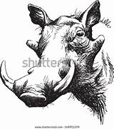 Warthog Warthogs sketch template