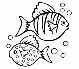 Fish Kids Coloring Template Drawing Printable Templates Pages Pdf Bass Angler Thick Boat Color Shape Print Lined Blank Animal Documents sketch template