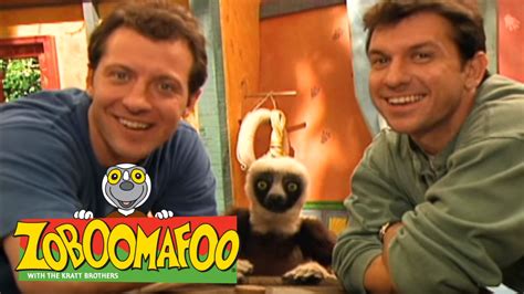 zoboomafoo  eye spy full episode youtube