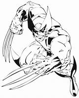 Wolverine Colorir sketch template