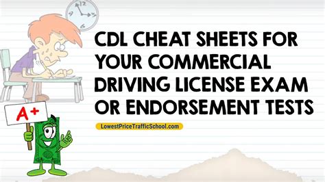 florida permit test cheat sheet cheat dumper